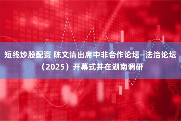短線炒股配資 陳文清出席中非合作論壇—法治論壇（2025）開幕式并在湖南調(diào)研