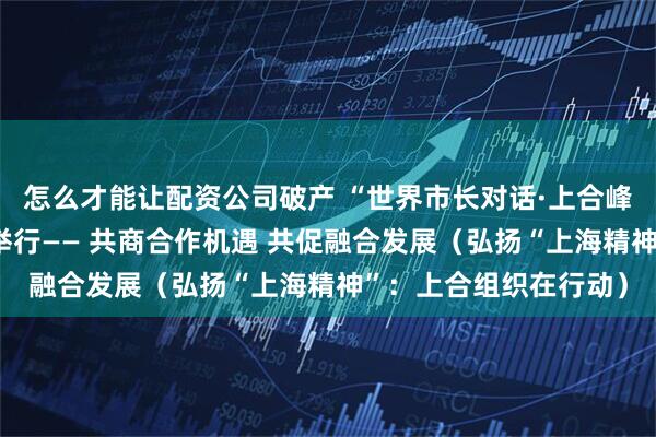 怎么才能讓配資公司破產(chǎn) “世界市長(zhǎng)對(duì)話·上合峰會(huì)城市”活動(dòng)在天津舉行—— 共商合作機(jī)遇 共促融合發(fā)展（弘揚(yáng)“上海精神”：上合組織在行動(dòng)）